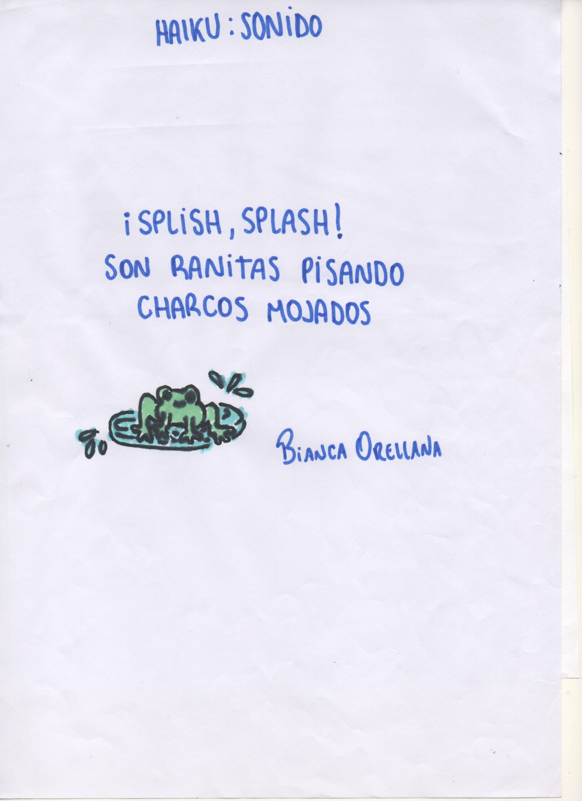 ¡Splish, Splash¡ Son ranitas pisando charcos mojados.