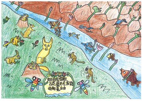 细雨在歌唱 百花盛开禾苗笑 动物竟自由