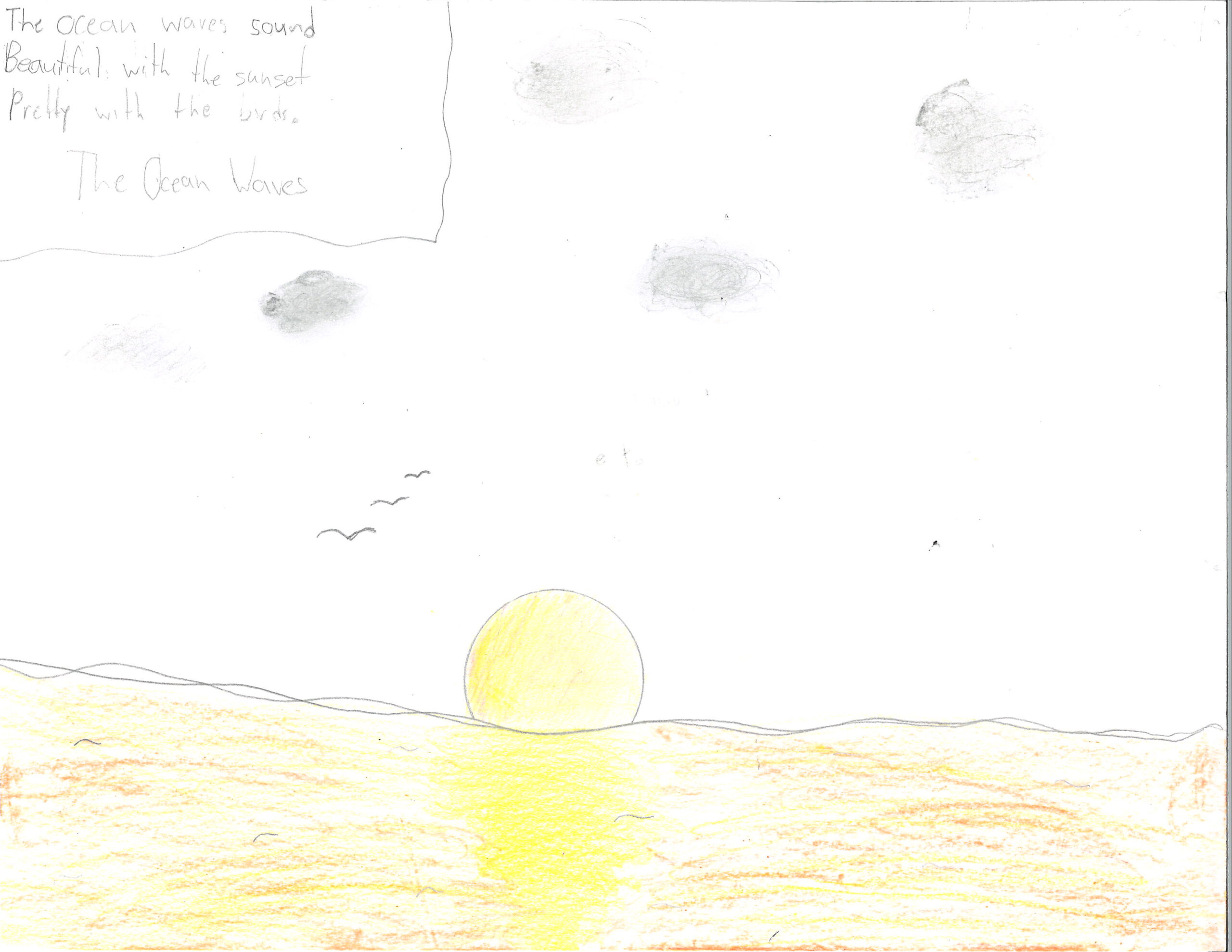 The Ocean waves sound Beautiful with the sunset Pretty with the birds