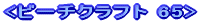 <�r�[�`�N���t�g65>